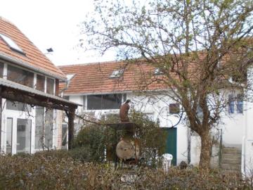 Zu Verkaufen 7 Schlafzimmer Haus Dürnbach Im Burgenland AUT DS103217920