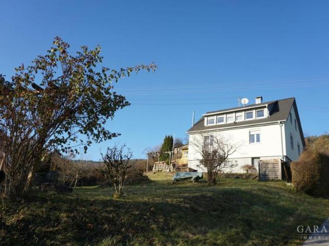 Zu Verkaufen 7 Schlafzimmer Haus Horb Deutschland DS97053088