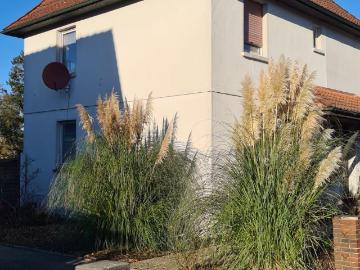 Zu Verkaufen 4 Schlafzimmer Haus Varel Deutschland DS97839419