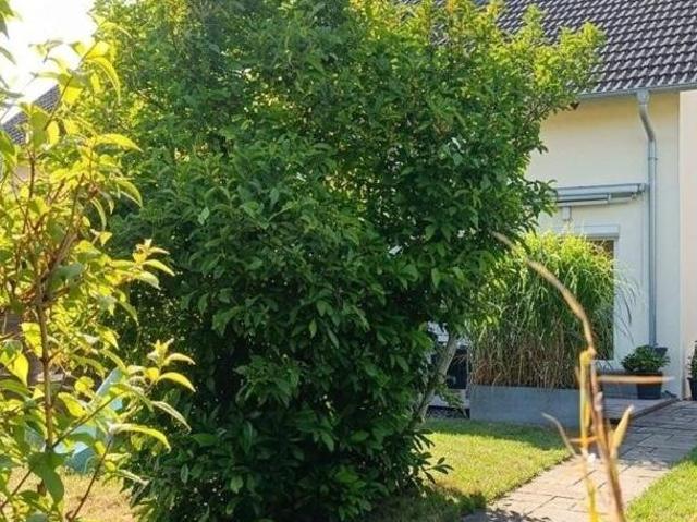 Zu Verkaufen 4 Schlafzimmer Haus Niederösterreich Niederösterreich DS105271609
