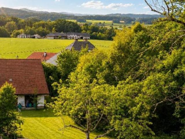 Zu Verkaufen 4 Schlafzimmer Haus Oberösterreich Oberösterreich DS105881099