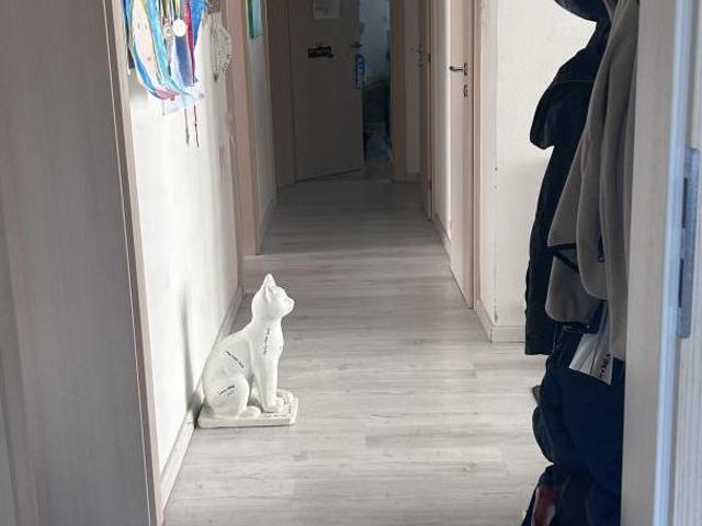 Zu Verkaufen 4 Schlafzimmer Haus Petronell AUT DS105760952