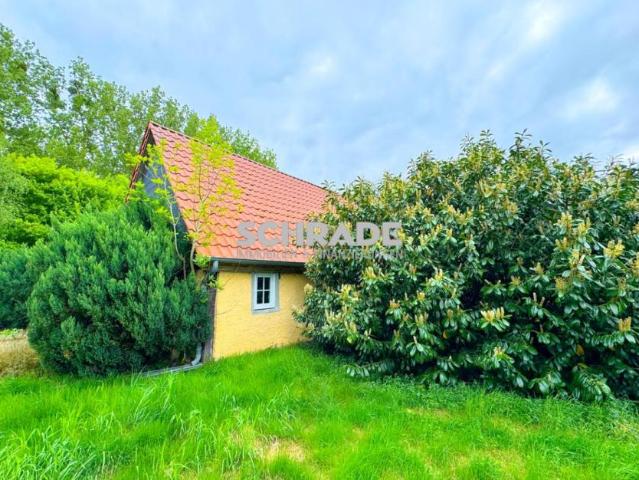 Zu Verkaufen 4 Schlafzimmer Haus Seehausen Deutschland DS93287055