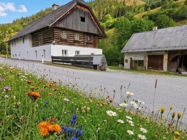 Zu Verkaufen 4 Schlafzimmer Haus Steiermark Steiermark DS105055739