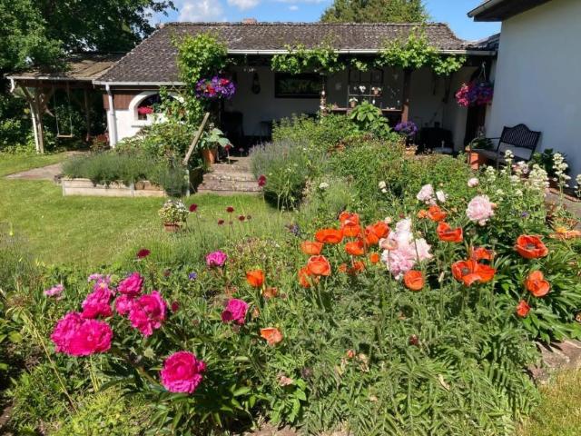 Zu Verkaufen 4 Schlafzimmer Haus Süsel Deutschland DS99288302
