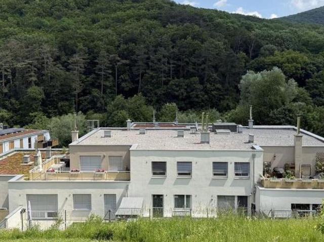 Zu Verkaufen 4 Schlafzimmer Wohnung Niederösterreich Niederösterreich DS105036259