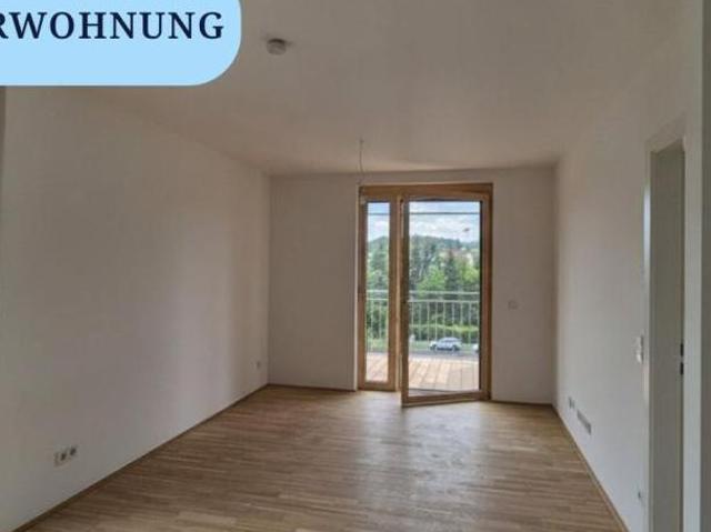 Zu Verkaufen 4 Schlafzimmer Wohnung Steiermark Steiermark DS103583686