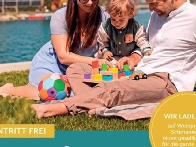 Zu Verkaufen 5 Schlafzimmer Haus Niederösterreich Niederösterreich DS104184991