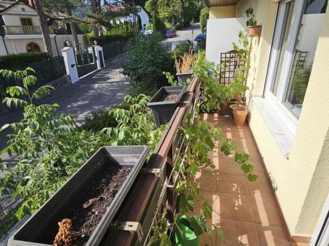 Zu Verkaufen 5 Schlafzimmer Haus Niederösterreich Niederösterreich DS105361986