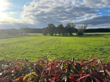 Schönefeld, Dahme-Spreewald, Spreewald, Bundesland Brandenburg