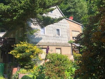 Zu Verkaufen 6 Schlafzimmer Haus Königsfeld Deutschland DS96174648