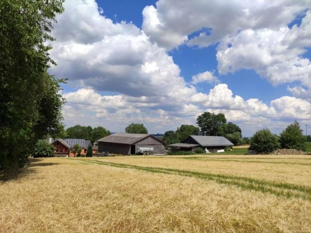 Zu Verkaufen 6 Schlafzimmer Haus Konradsreuth Deutschland DS99234801