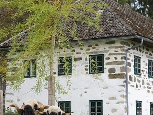 Zu Verkaufen 6 Schlafzimmer Haus Oberösterreich Oberösterreich DS105102002