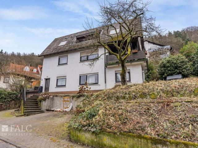 Zu Verkaufen 8 Schlafzimmer Haus Eberbach Deutschland DS98899684
