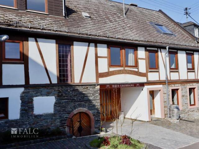 Zu Verkaufen 9 Schlafzimmer Haus Starkenburg Deutschland DS92652347