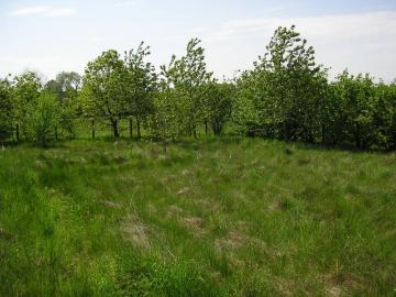 Dahlener Heide, Peel