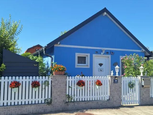 Zu Verkaufen Haus Traiskirchen Traiskirchen DS105504667