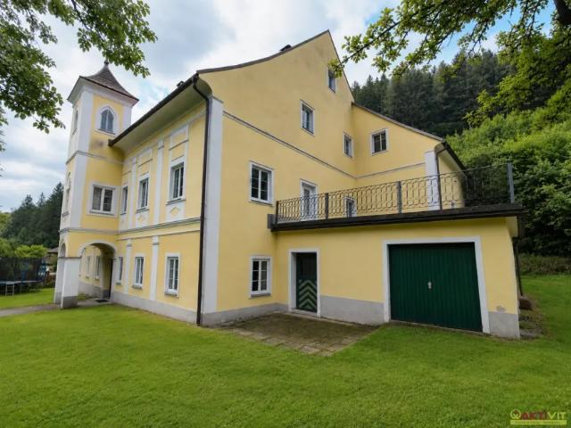 Zu Verkaufen Haus Trieben Trieben DS105307593