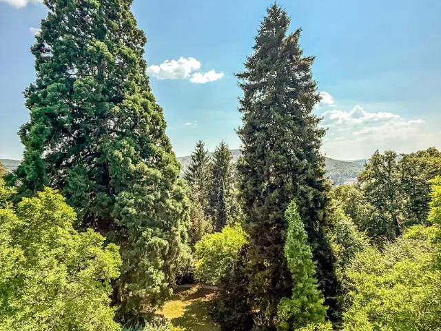Zu Verkaufen Haus Tullnerbach Lawies Tullnerbach Lawies DS105626726