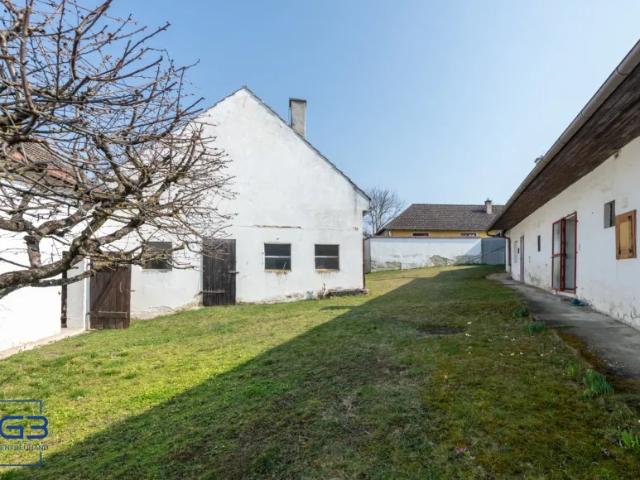 Zu Verkaufen Haus Untermixnitz Untermixnitz DS105219740