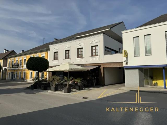 Zu Verkaufen Haus Wallsee Wallsee DS105003731