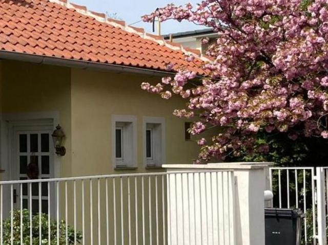 Zu Verkaufen Haus Wien Wien DS105555965
