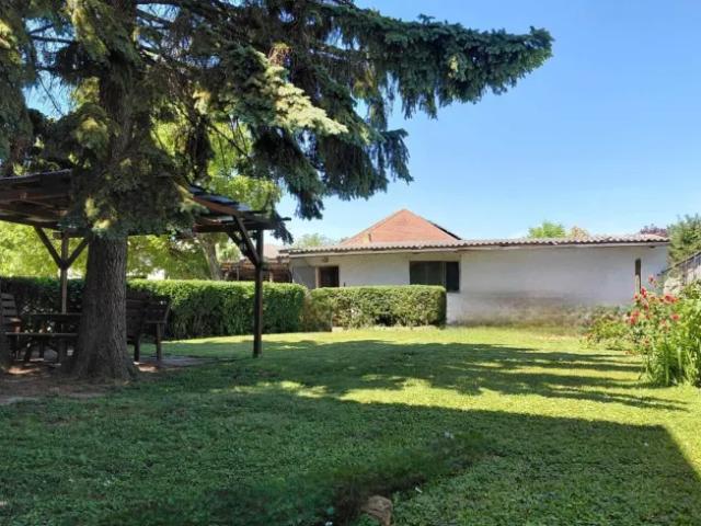 Zu Verkaufen Haus Zurndorf Zurndorf DS103394799