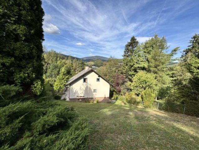 Zu Verkaufen Haus Aspang Markt Aspang Markt DS105397943