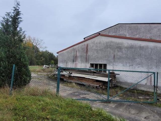 Zu Verkaufen Haus Bad Düben Deutschland DS96174312