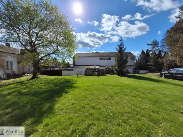 Zu Verkaufen Haus Bad Vöslau Bad Vöslau DS105504812