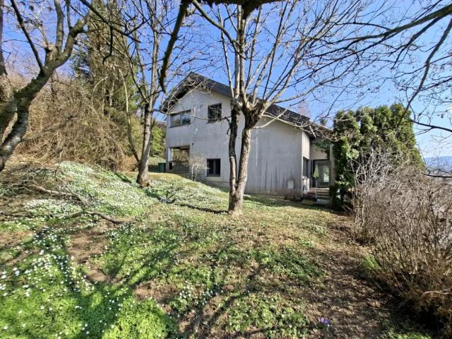 Zu Verkaufen Haus Birkfeld Birkfeld DS103148153