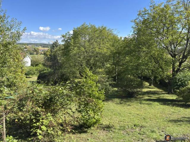 Zu Verkaufen Haus Bocksdorf Bocksdorf DS105529677