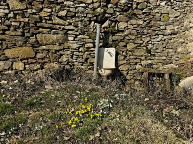 Zu Verkaufen Haus Eggenburg Eggenburg DS104321589