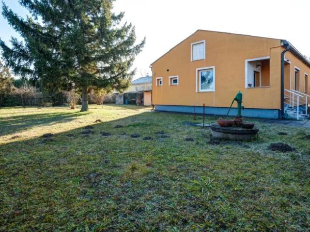 Zu Verkaufen Haus Gänserndorf Gänserndorf DS103926594