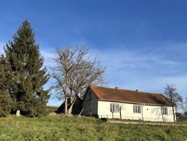 Zu Verkaufen Haus Gerersdorf Bei Güssing Gerersdorf Bei Güssing DS105184709
