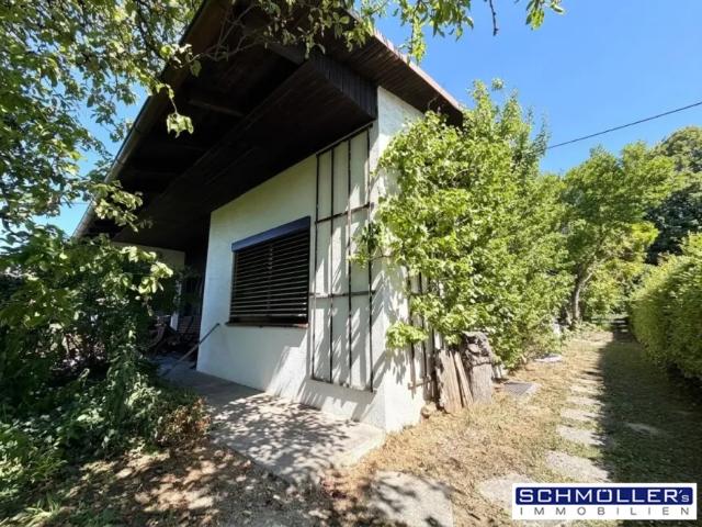 Zu Verkaufen Haus Grieskirchen Grieskirchen DS105121623