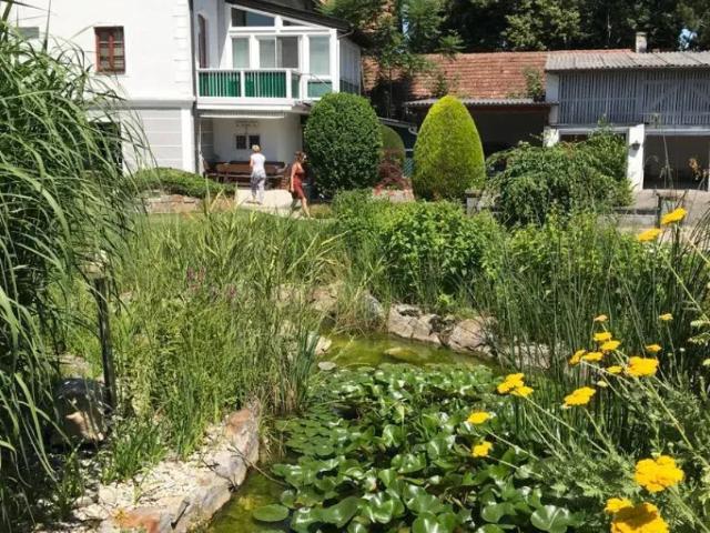 Zu Verkaufen Haus Hadersdorf Am Kamp Hadersdorf Am Kamp DS105307505