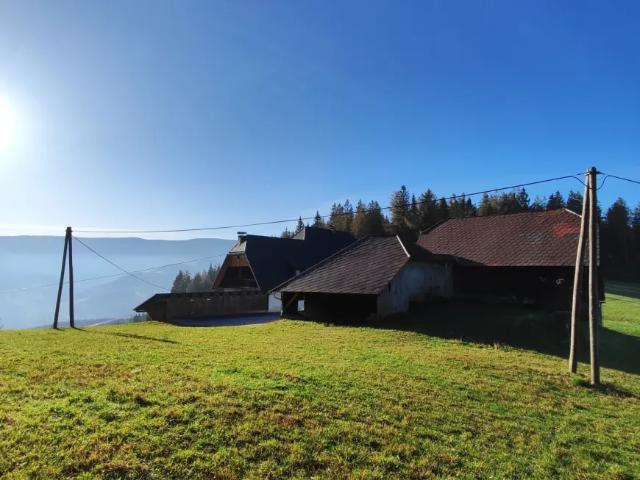 Zu Verkaufen Haus Hirschegg Hirschegg DS105484834
