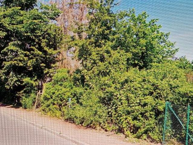 Zu Verkaufen Haus Hoppegarten Deutschland DLS88570667