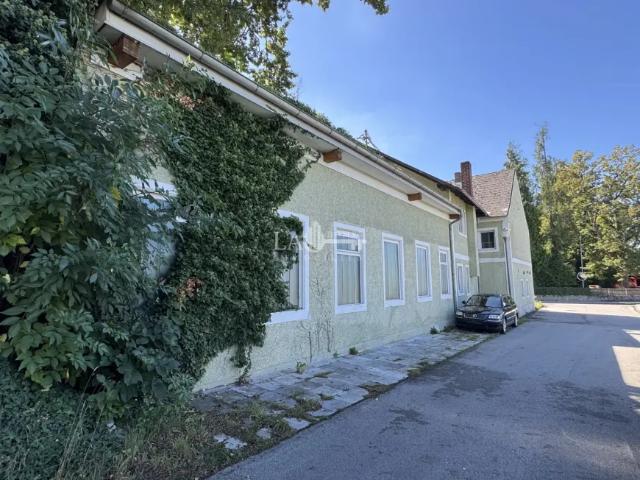 Zu Verkaufen Haus Hörsching Hörsching DS105061853