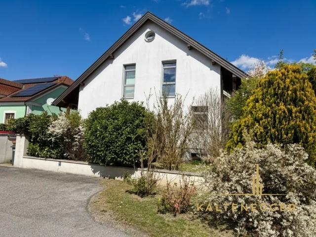 Zu Verkaufen Haus Korneuburg Korneuburg DS105335695