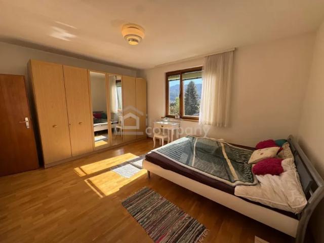 Zu Verkaufen Haus Leoben Leoben DS105655913