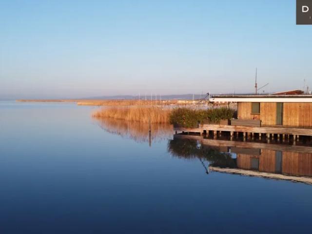 Zu Verkaufen Haus Neusiedl Am See Neusiedl Am See DS105332364