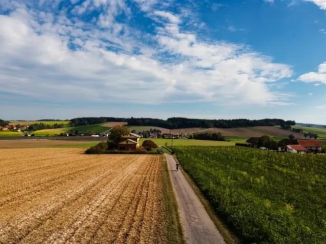 Zu Verkaufen Haus Peuerbach Peuerbach DS106137760