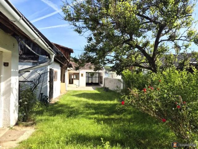 Zu Verkaufen Haus Piringsdorf Piringsdorf DS103830275