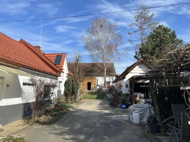 Zu Verkaufen Haus Schandorf Schandorf DS105184764