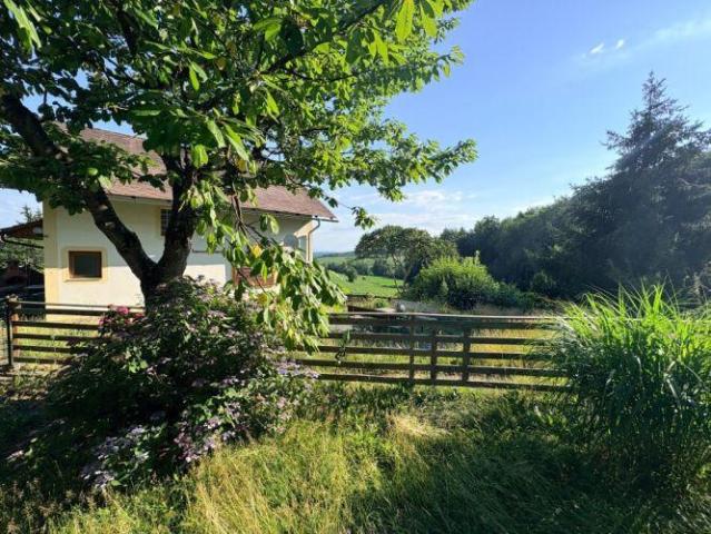 Zu Verkaufen Haus Sankt Nikolai Im Sausal Sankt Nikolai Im Sausal DS105237390
