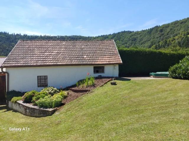 Zu Verkaufen Haus Senftenberg Senftenberg DS105529752