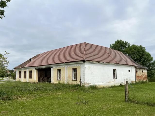 Zu Verkaufen Haus Stinatz Stinatz DS105184790