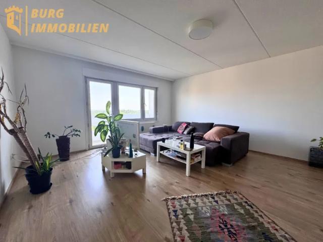 Zu Verkaufen Wohnung Traiskirchen Traiskirchen DS105307996